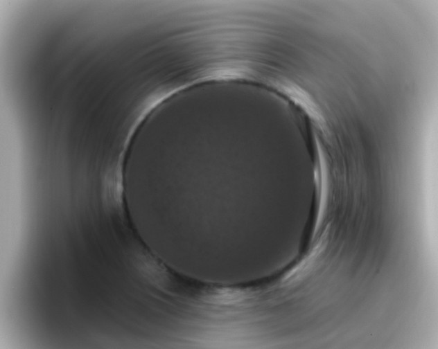 X0000096681226200802121205