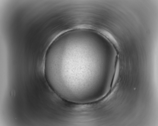 X0000096681228200802121205