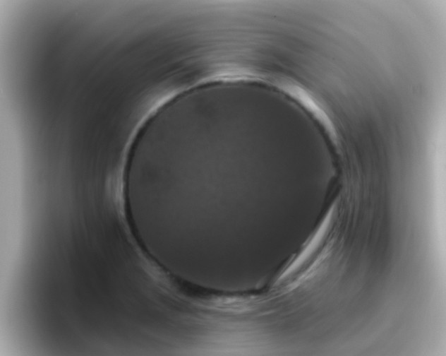 X0000096681229200802121205