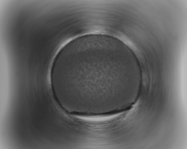 X0000096681230200802121205