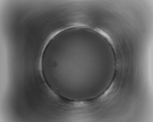 X0000096681231200802121205