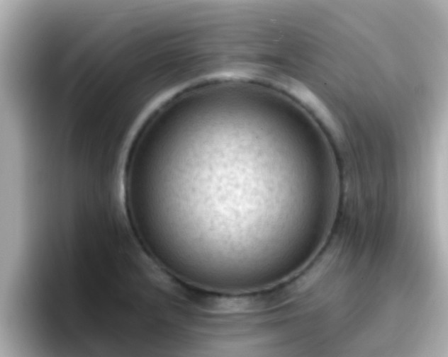 X0000096681232200802121205