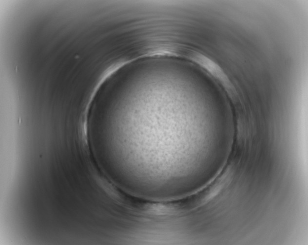 X0000096681234200802121205