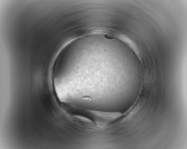 X0000096681235200802121205