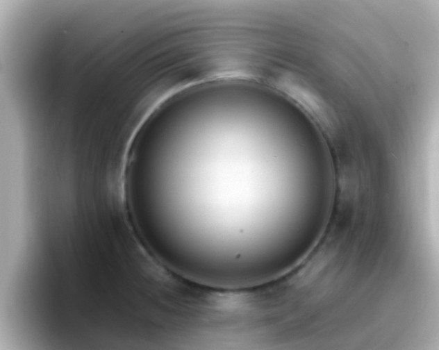 X0000096681236200802121205