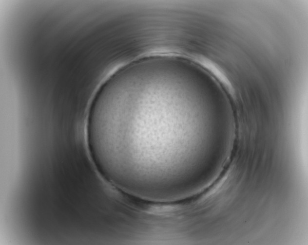X0000096681237200802121205
