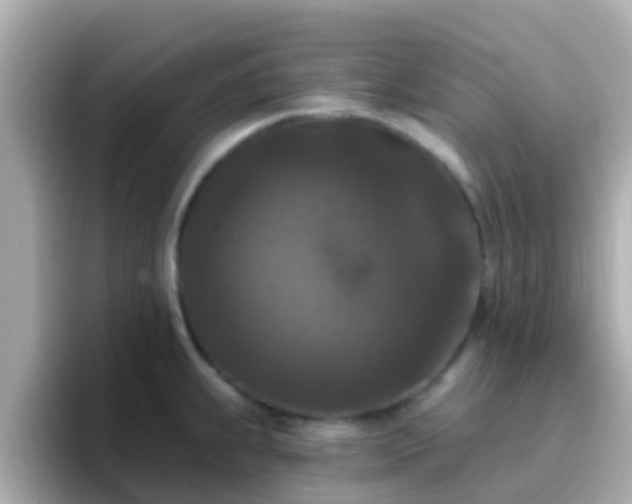 X0000096681239200802121205