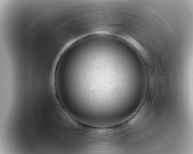 X0000096681240200802121205