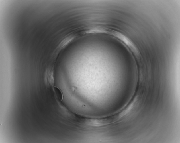 X0000096681241200802121205