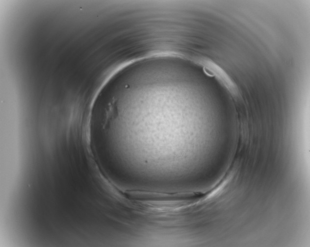 X0000096681244200802121205