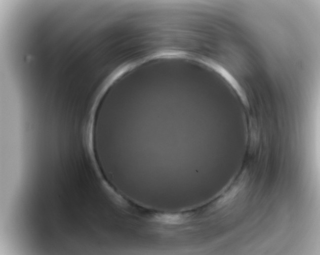 X0000096681245200802121205