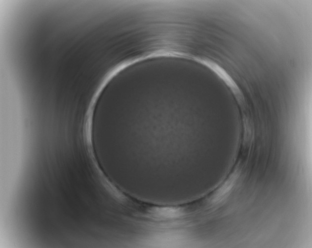 X0000096681246200802121205