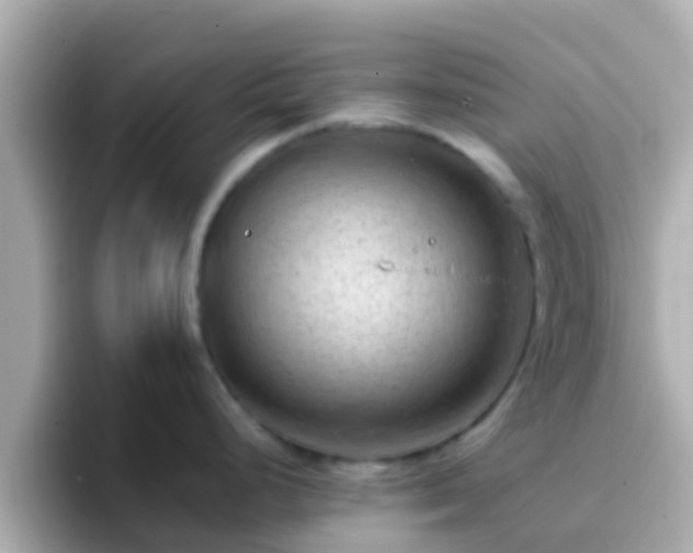 X0000096681248200802121205