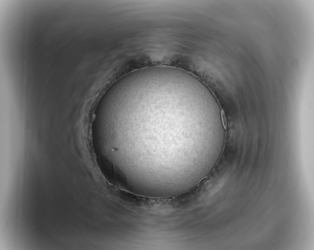 X0000096681249200802121205