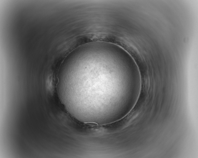 X0000096681250200802121205