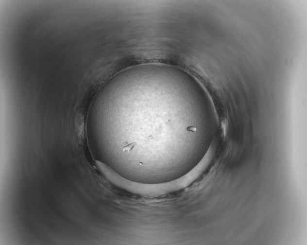 X0000096681251200802121204