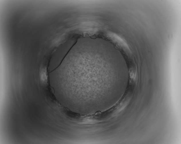 X0000096681252200802121204