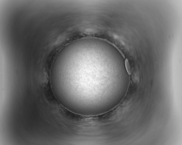 X0000096681253200802121204