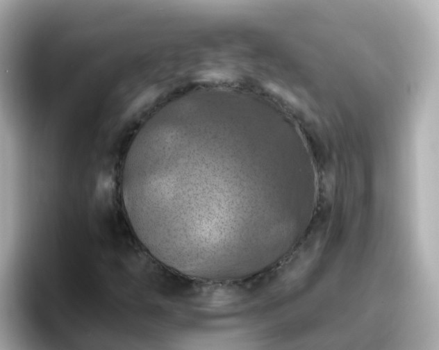 X0000096681254200802121204