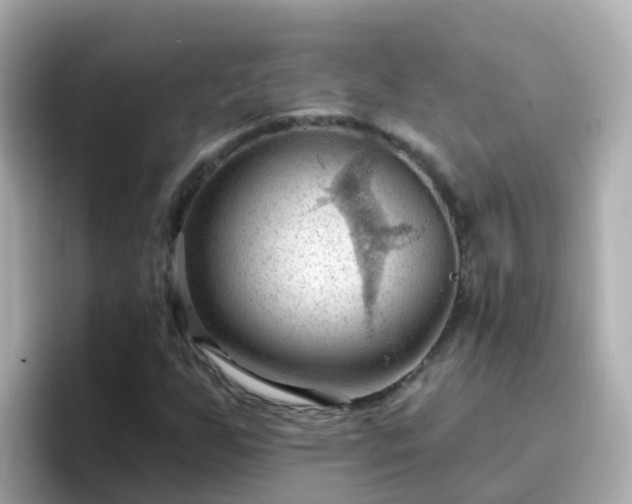 X0000096681255200802121204