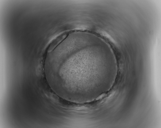 X0000096681256200802121204