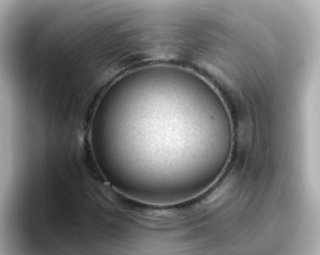 X0000096681257200802121204