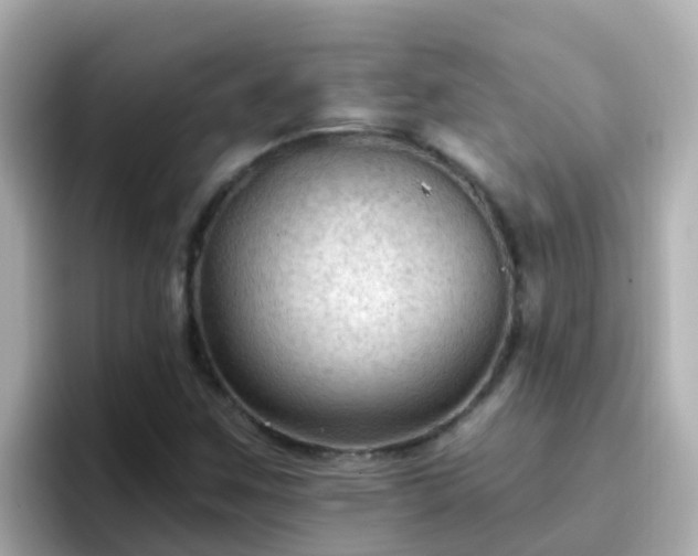 X0000096681259200802121204