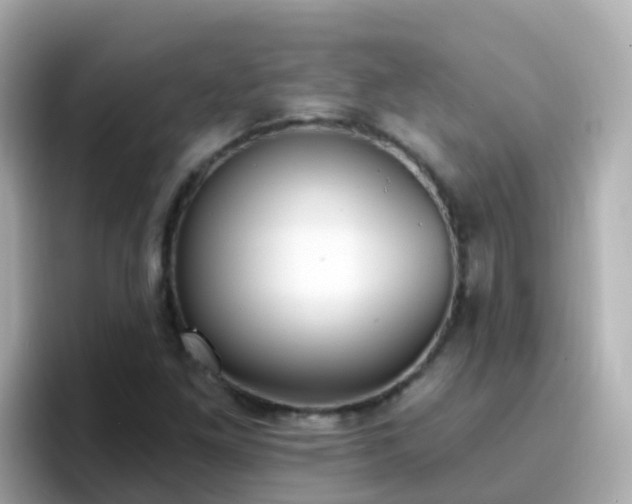 X0000096681261200802121204