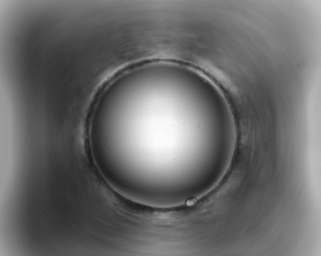 X0000096681264200802121204