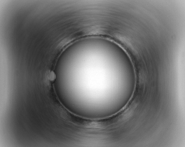 X0000096681265200802121204