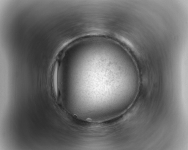 X0000096681267200802121204