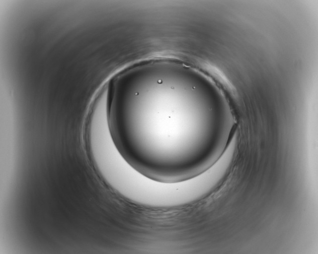 X0000096681268200802121204