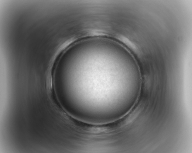 X0000096681269200802121204
