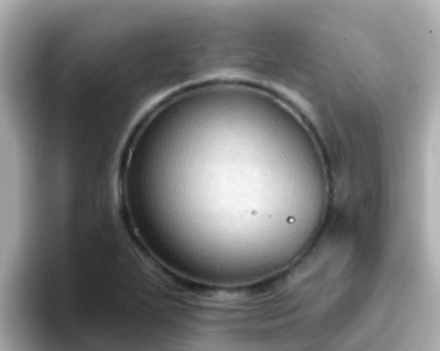X0000096681271200802121204