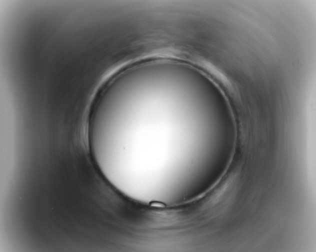 X0000096681272200802121204