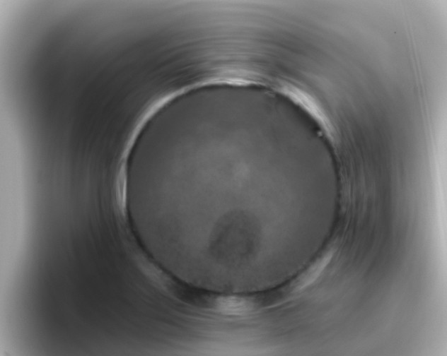 X0000096681275200802121204