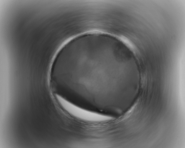 X0000096681279200802121204