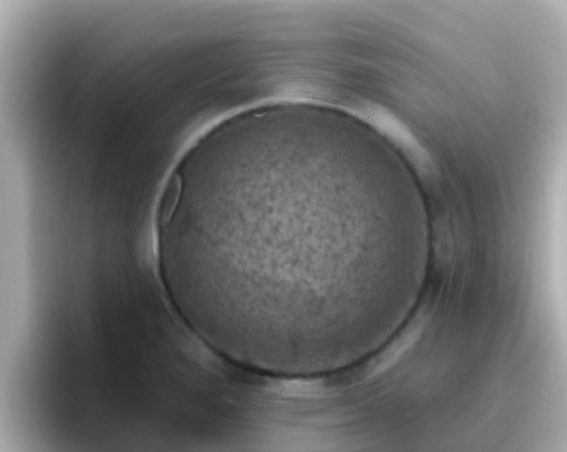 X0000096681280200802121204