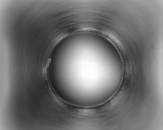X0000096681281200802121204