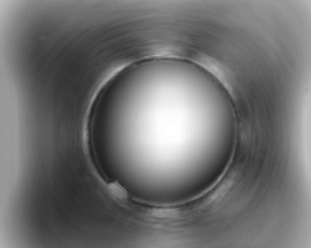 X0000096681285200802121204