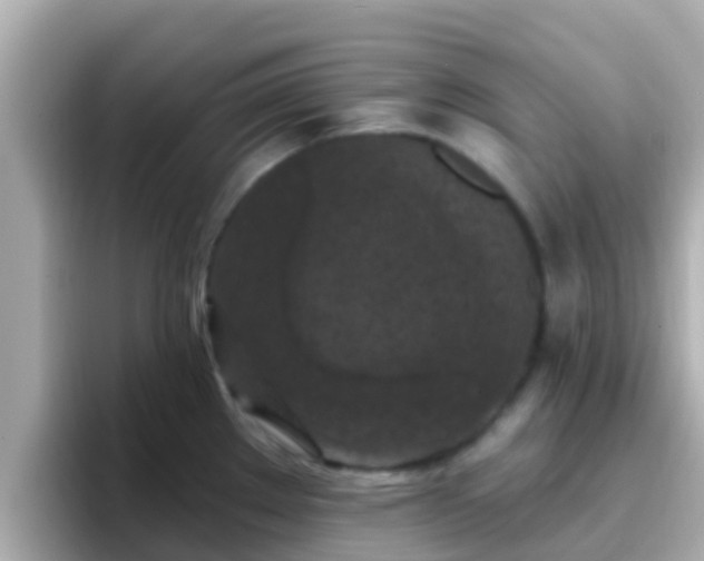 X0000096681289200802121204