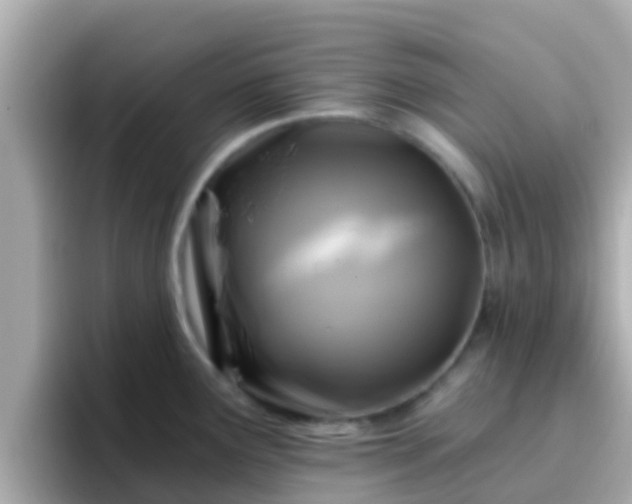 X0000096681291200802121204