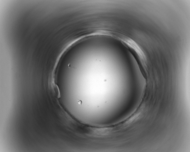 X0000096681292200802121204