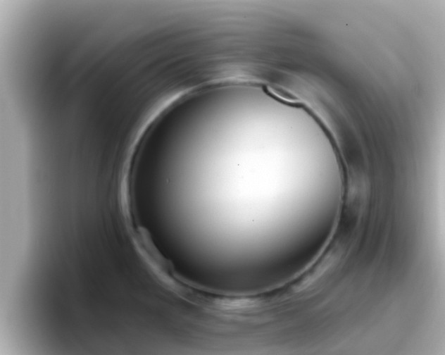 X0000096681293200802121204