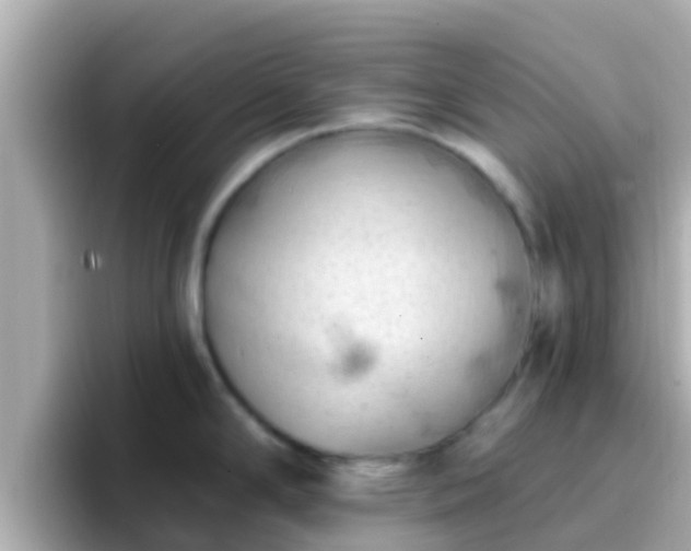 X0000096681294200802121204