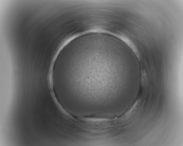 X0000096681295200802121204