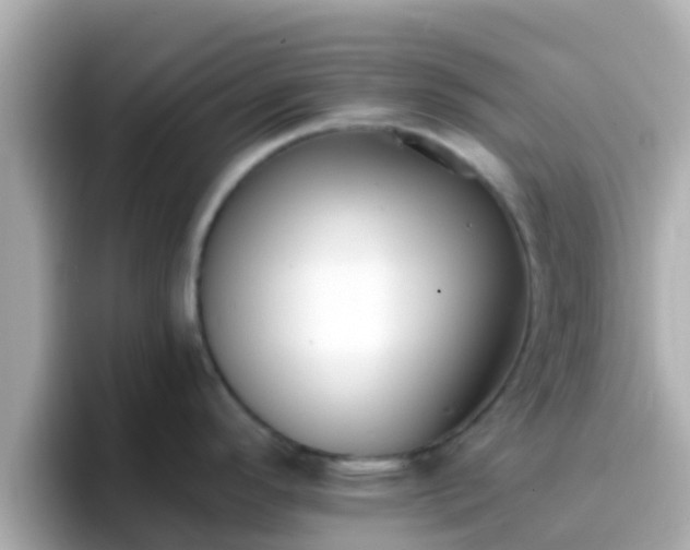 X0000096681296200802121204