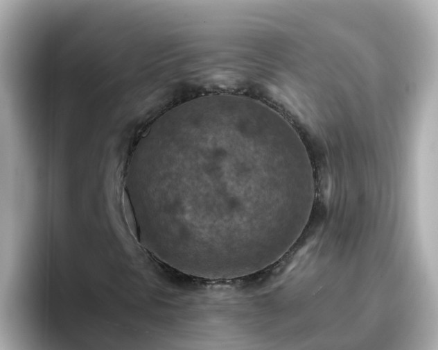 X0000096681297200802121203