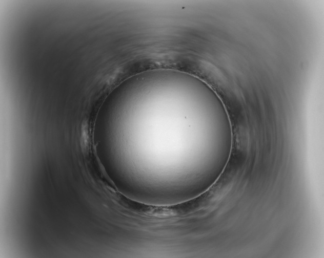 X0000096681298200802121203
