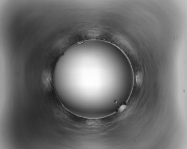X0000096681299200802121203